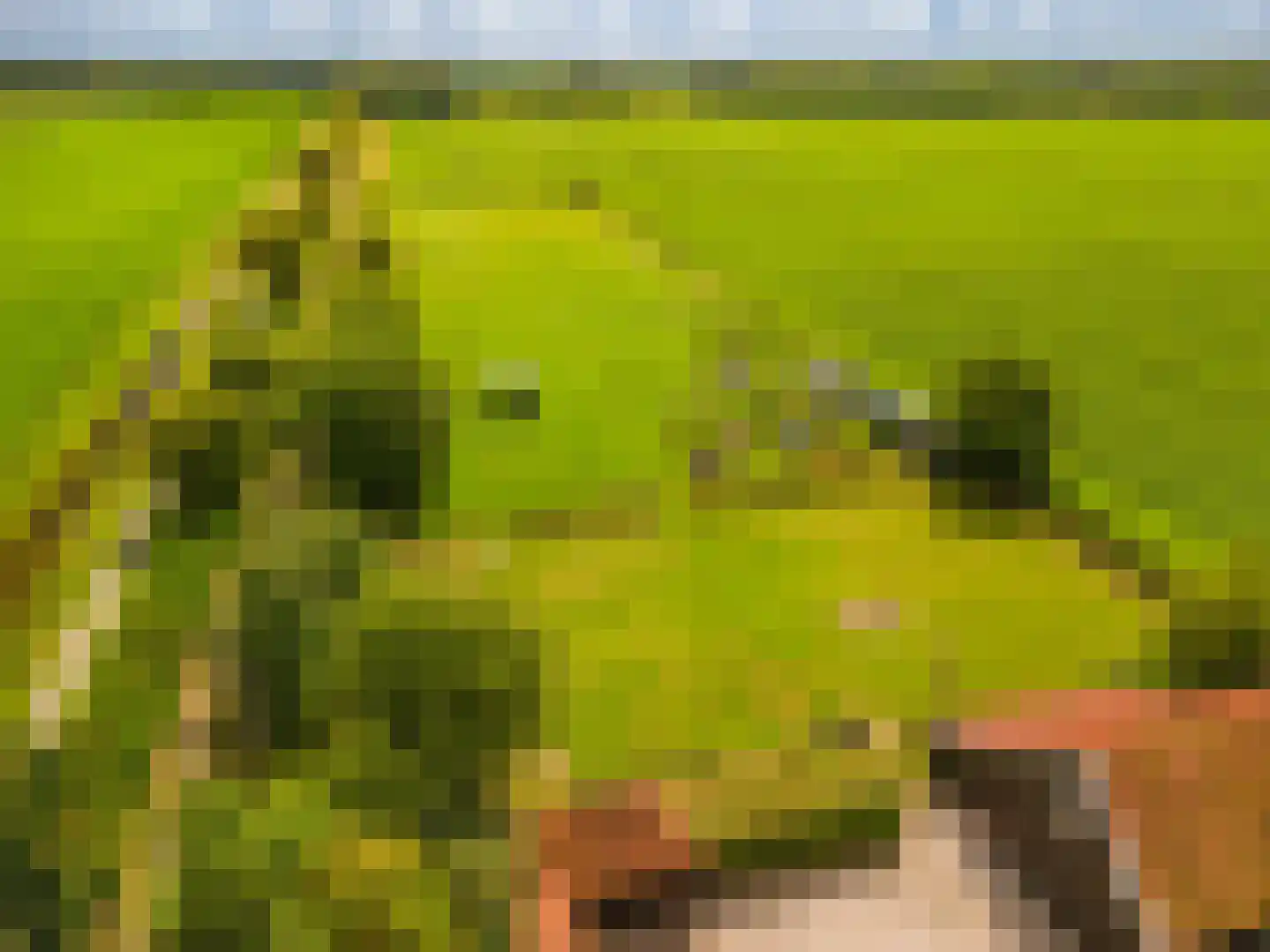 2e Dalweg 8 Vriescheloo thumbnail 66