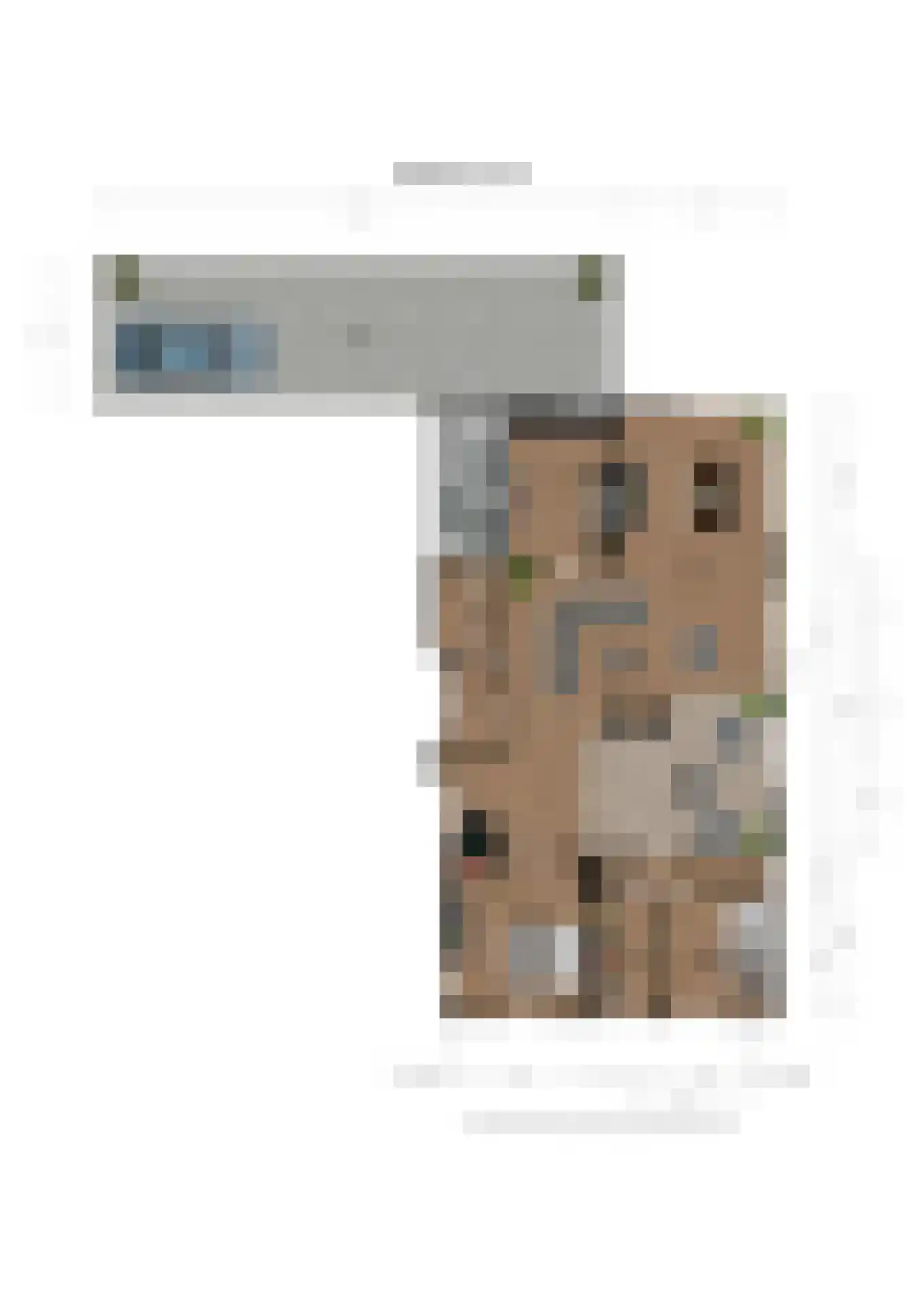 2e Dalweg 8 Vriescheloo thumbnail 69