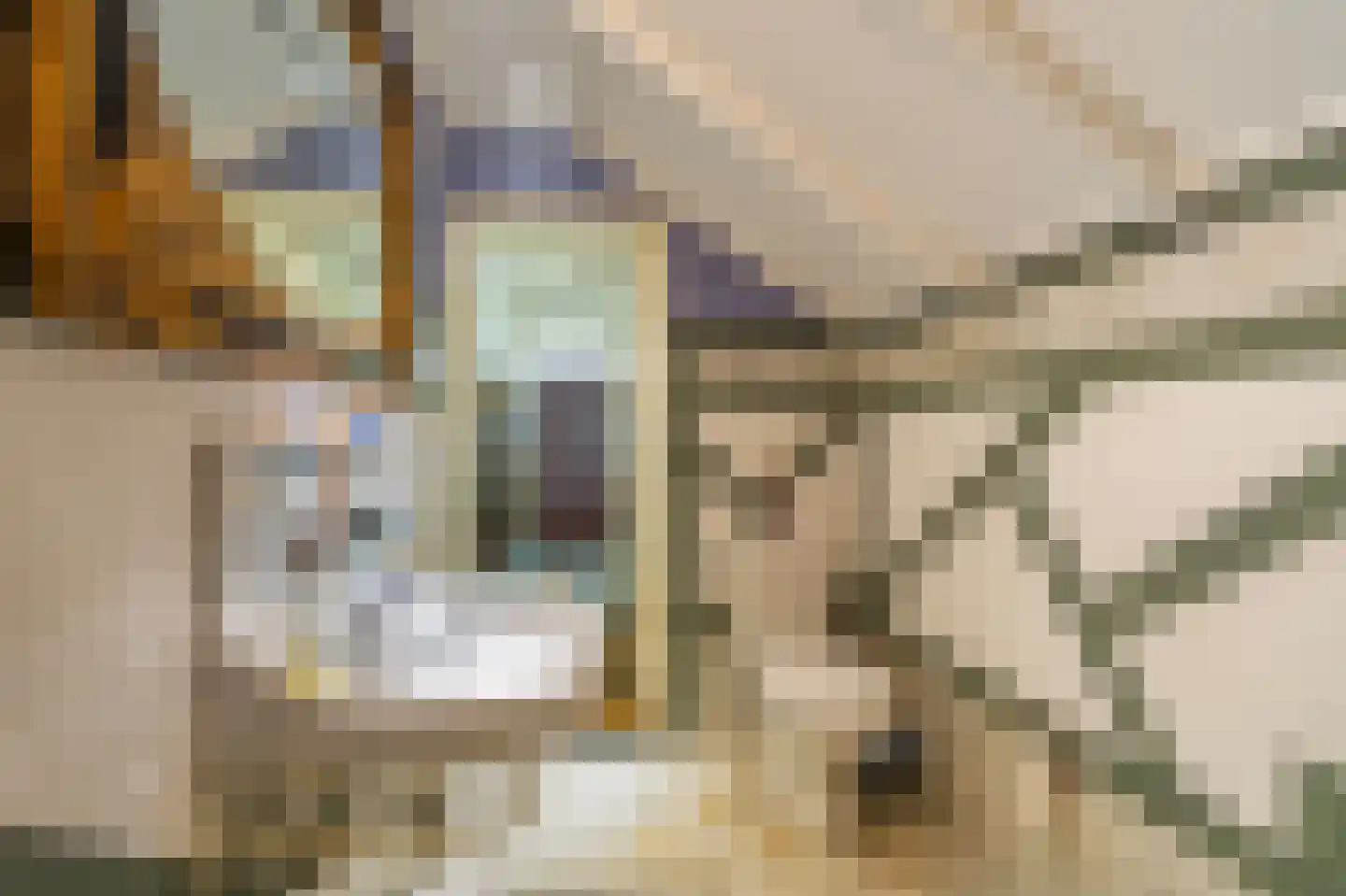 2e Dalweg 8 Vriescheloo thumbnail 9