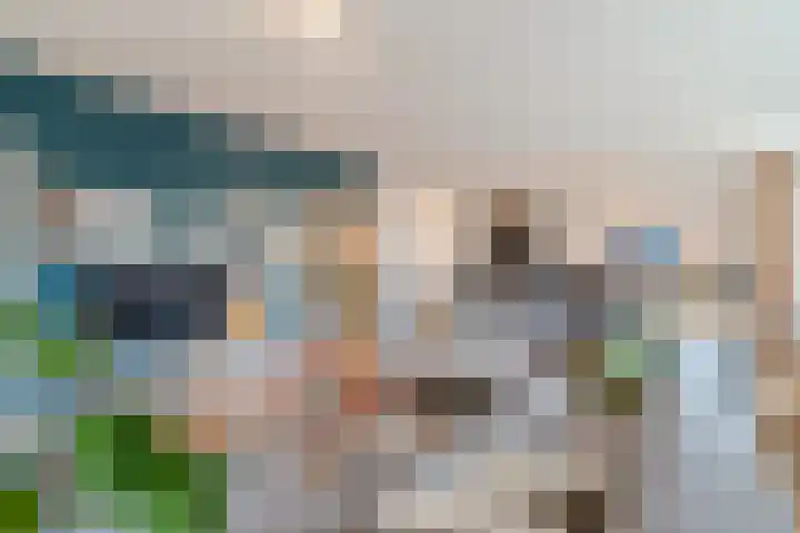2e De Carpentierstraat 139 B Den Haag thumbnail 9