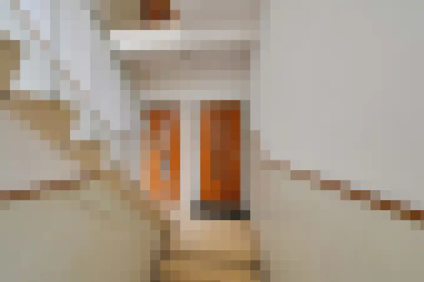 2e De Carpentierstraat 198 Den Haag thumbnail 6