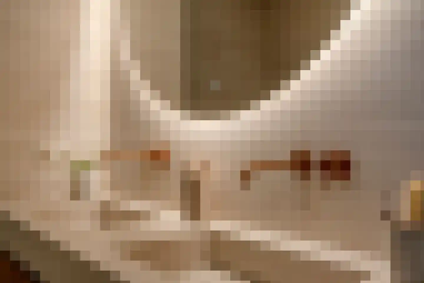 2e De Riemerstraat 81 Den Haag thumbnail 37