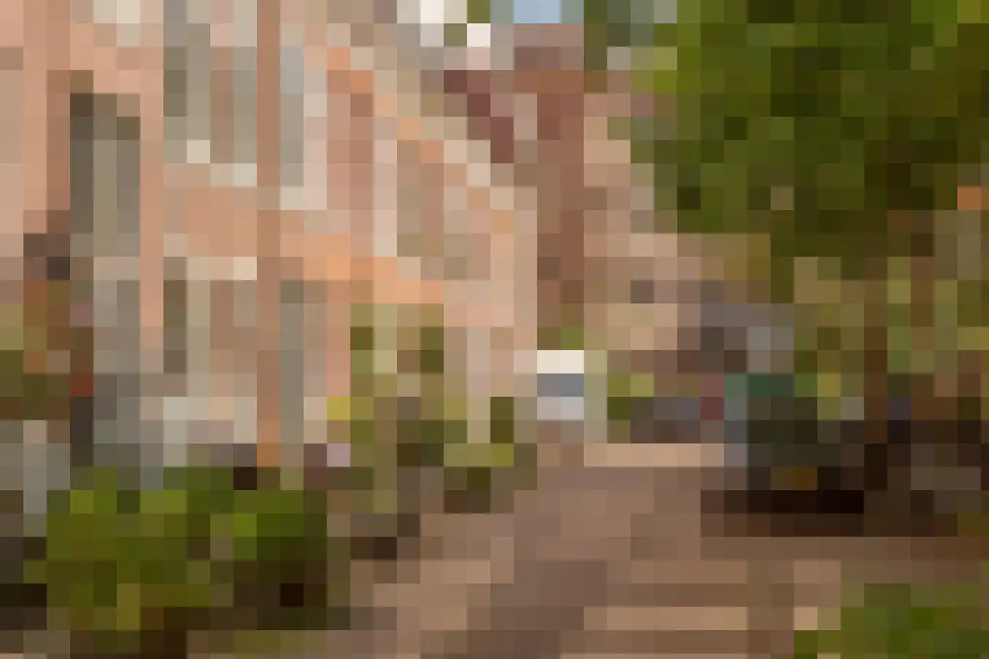 2e De Riemerstraat 81 Den Haag thumbnail 4