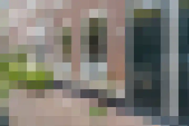 2e De Riemerstraat 93 Den Haag thumbnail 5