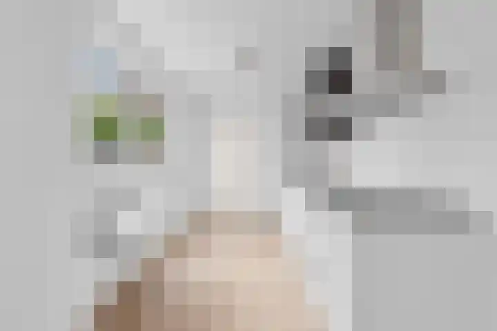 2e Delistraat 11 A Utrecht thumbnail 9
