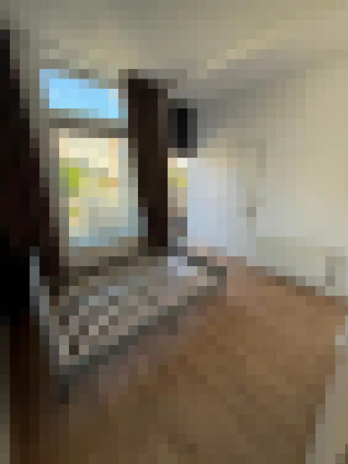 2e Delistraat 15 Utrecht thumbnail 5