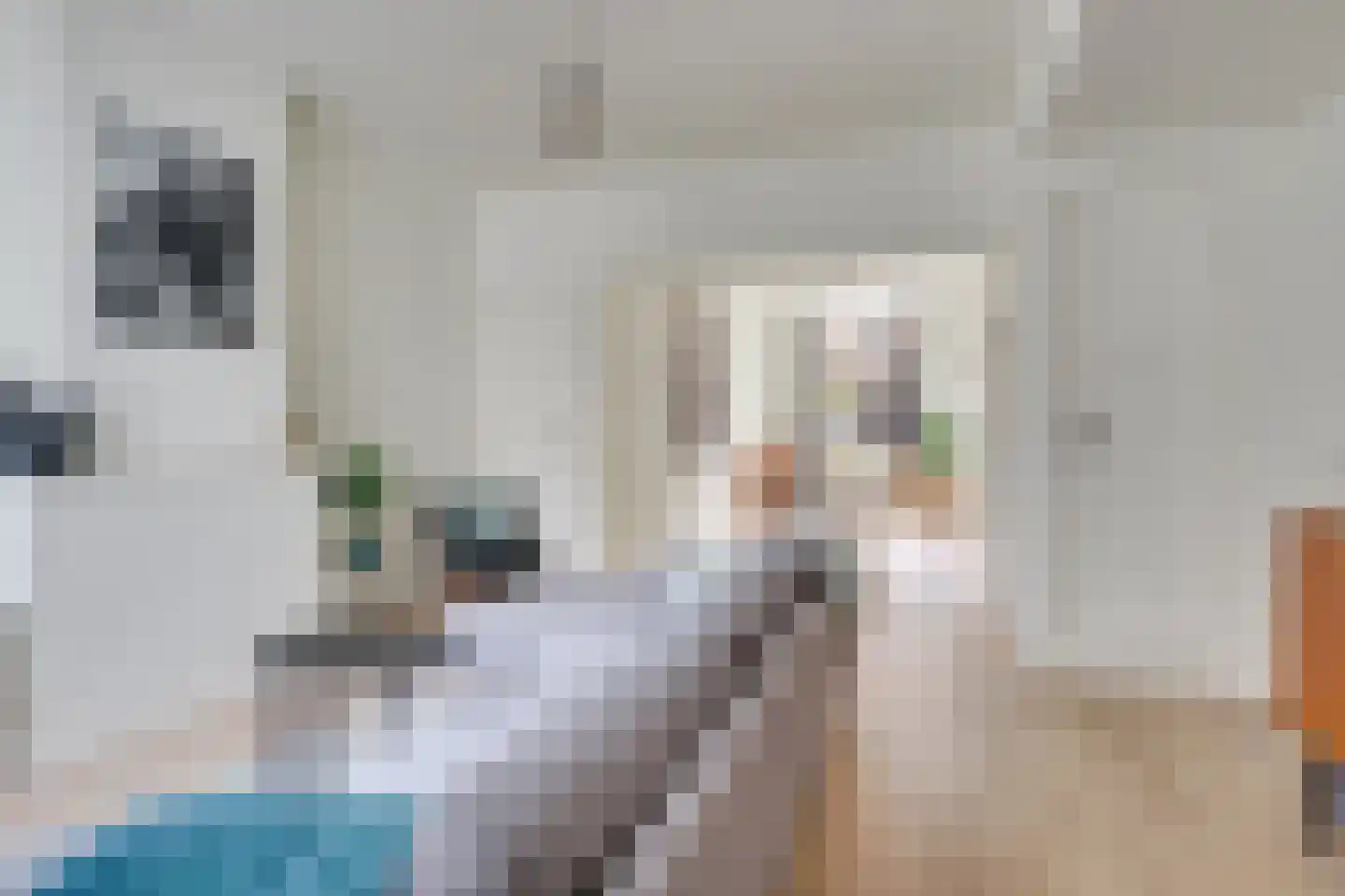 2e Delistraat 21 Utrecht thumbnail 16