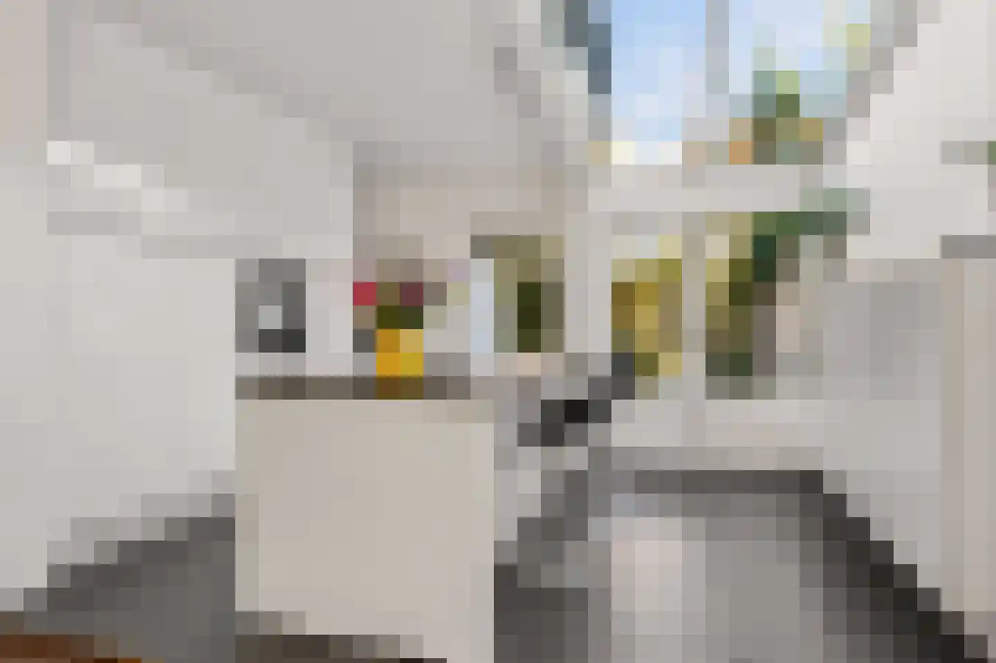2e Delistraat 29 Utrecht thumbnail 13
