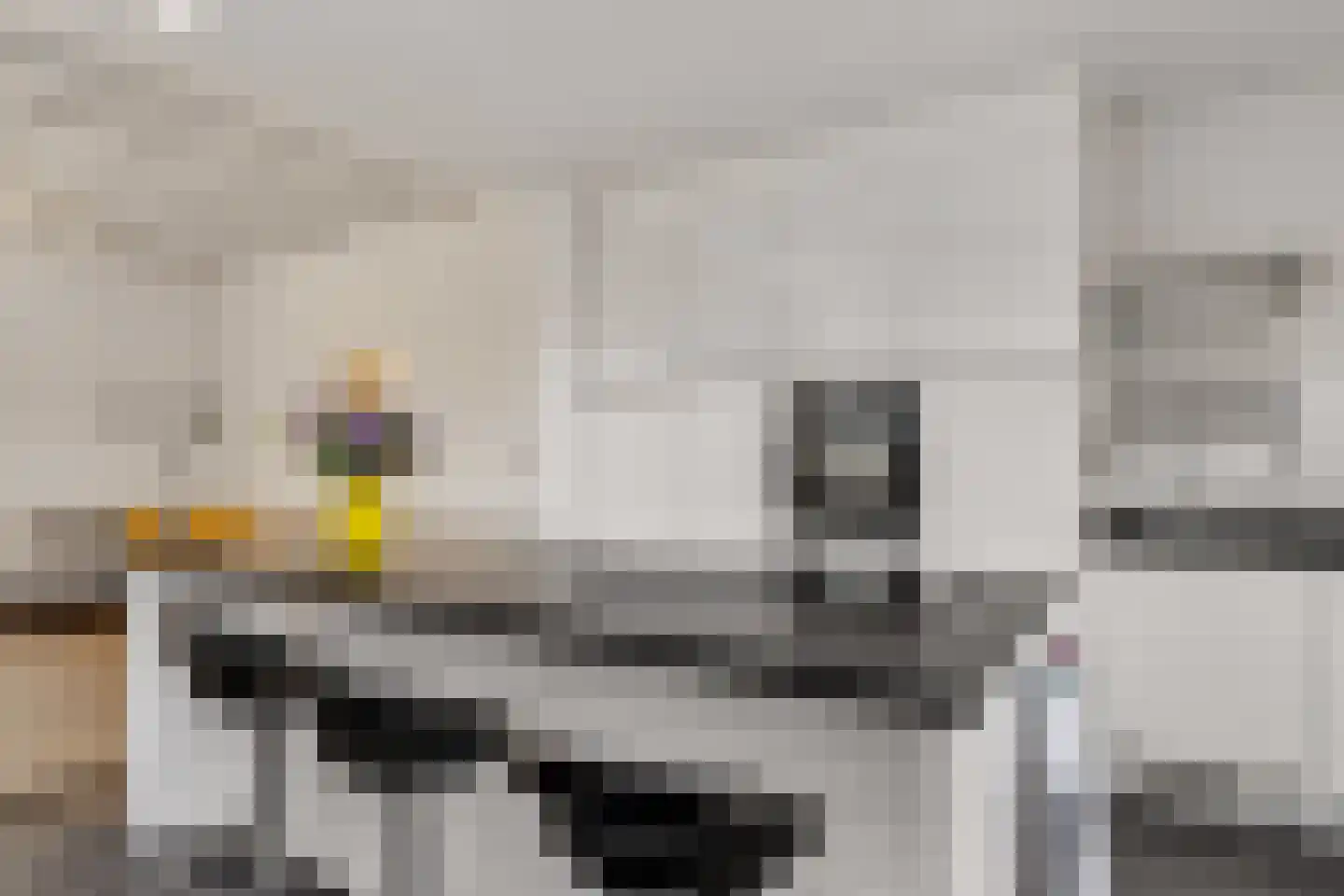 2e Delistraat 29 Utrecht thumbnail 15