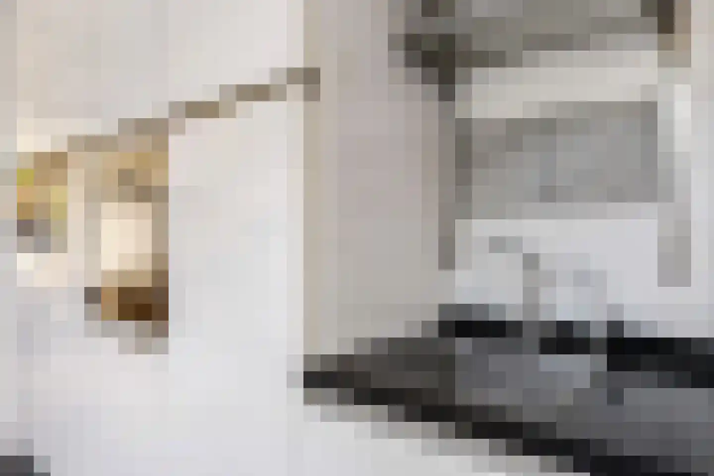 2e Delistraat 29 Utrecht thumbnail 16