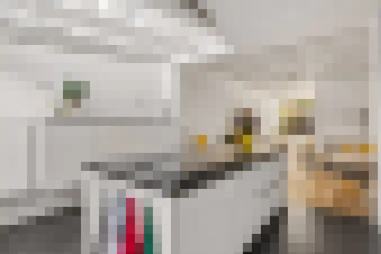 2e Delistraat 29 Utrecht thumbnail 17
