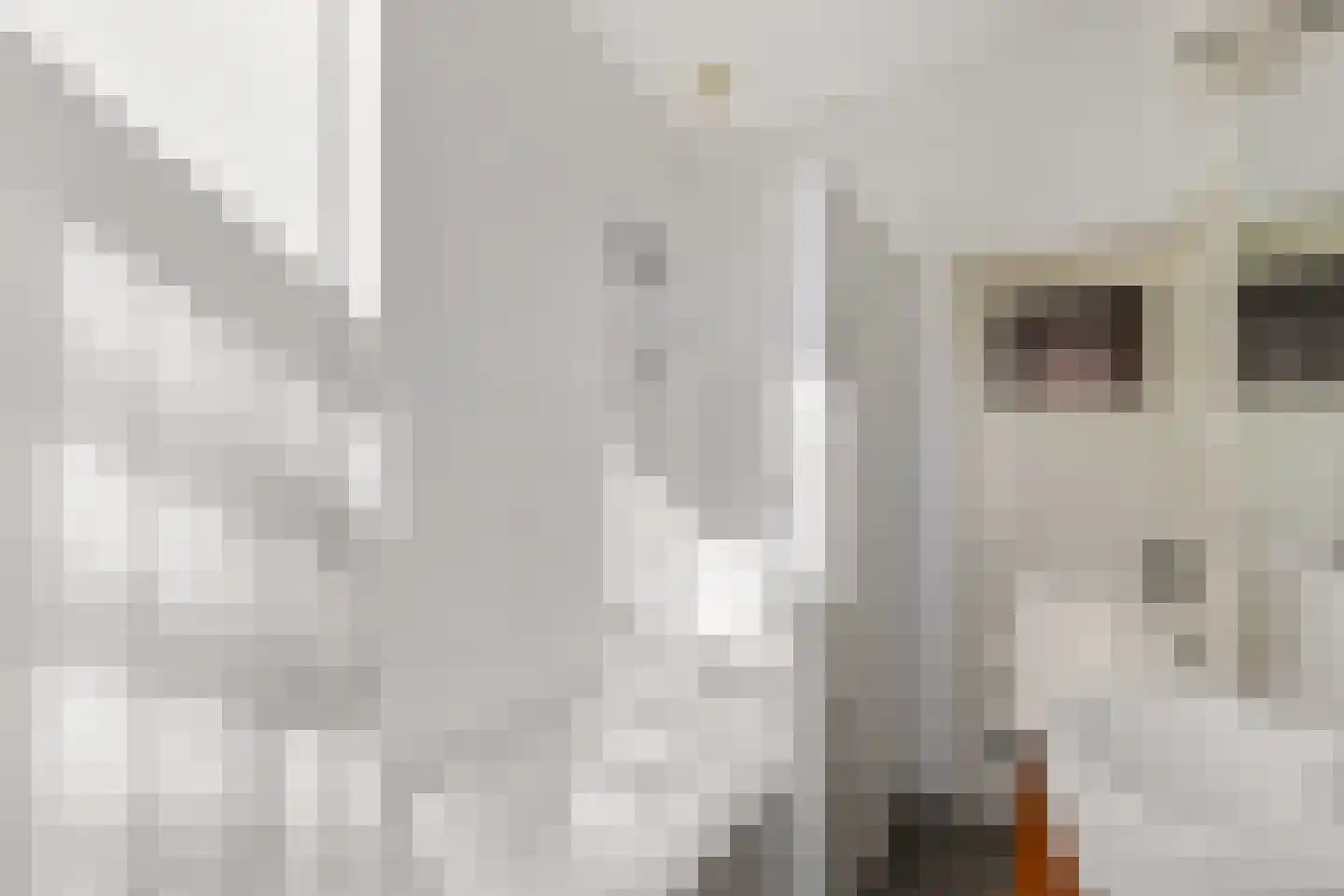 2e Delistraat 29 Utrecht thumbnail 31