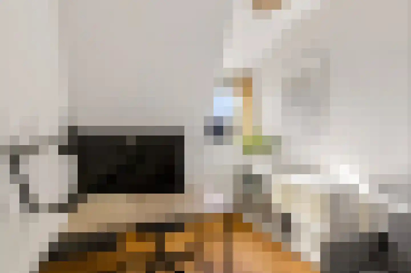 2e Delistraat 29 Utrecht thumbnail 34