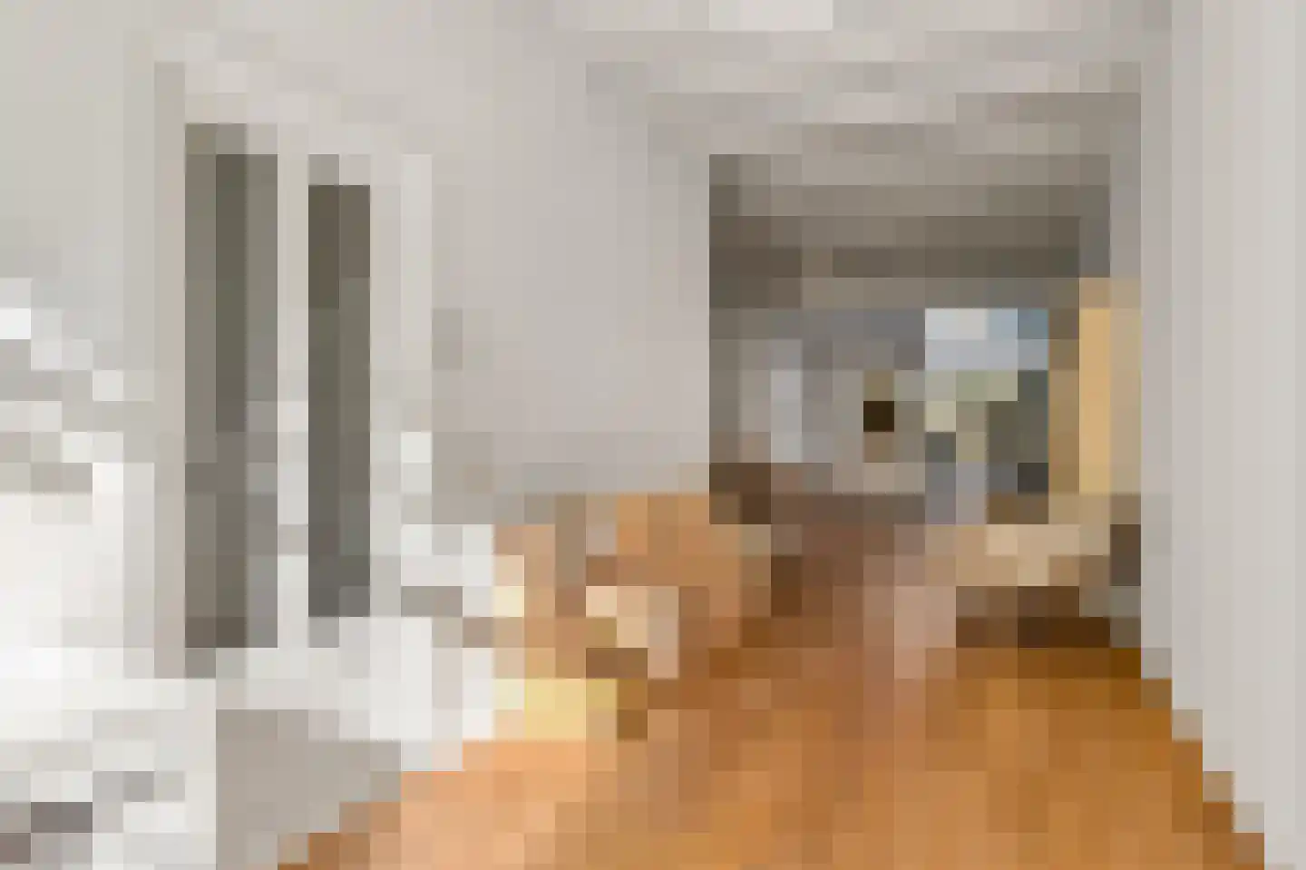2e Delistraat 29 Utrecht thumbnail 6