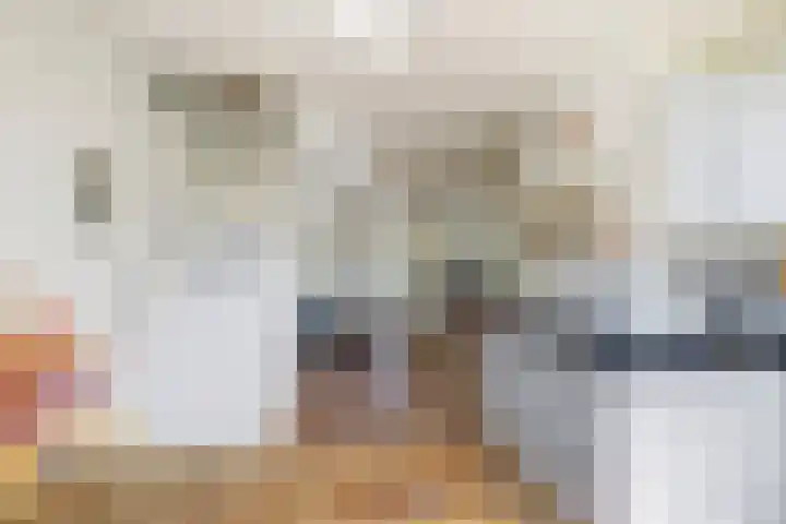 2e Delistraat 35 BS Utrecht thumbnail 9