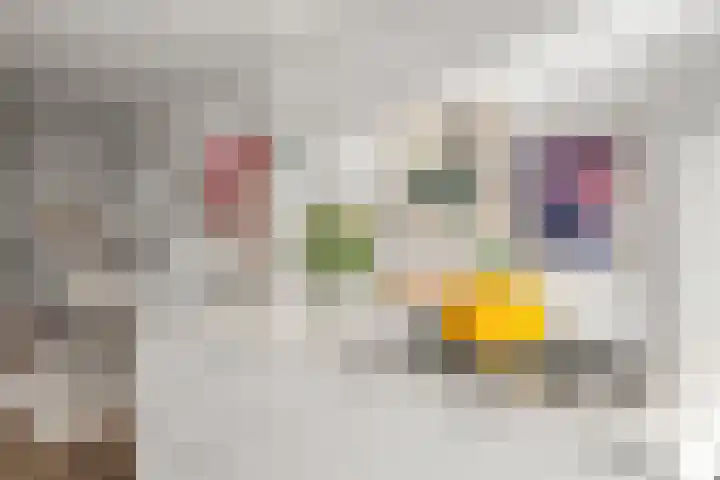 2e Delistraat 8 Utrecht thumbnail 11