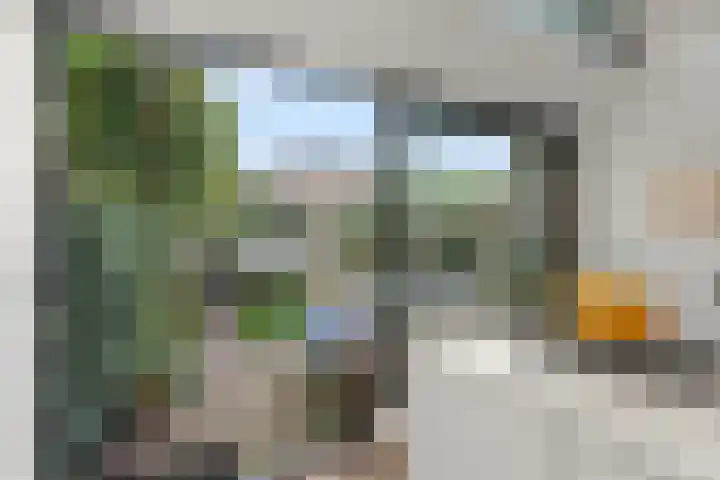 2e Delistraat 8 Utrecht thumbnail 14