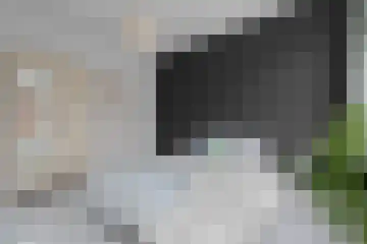 2e Delistraat 8 Utrecht thumbnail 24