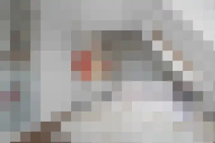 2e Delistraat 8 Utrecht thumbnail 34