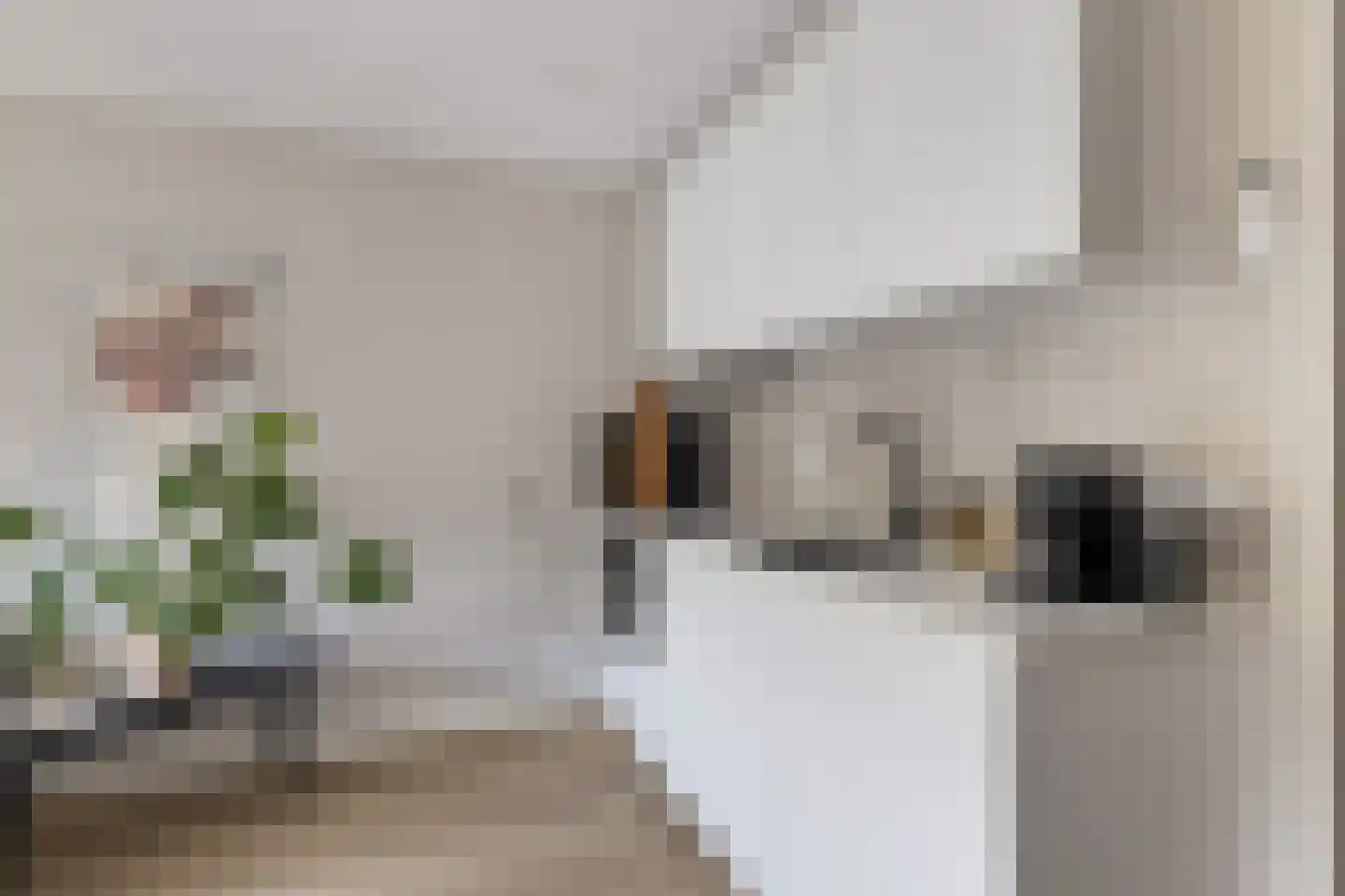 2e Dorpsstraat 44 B Zeist thumbnail 20