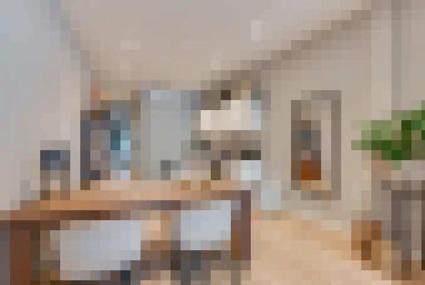 2e Dorpsstraat 48 B Zeist thumbnail 4