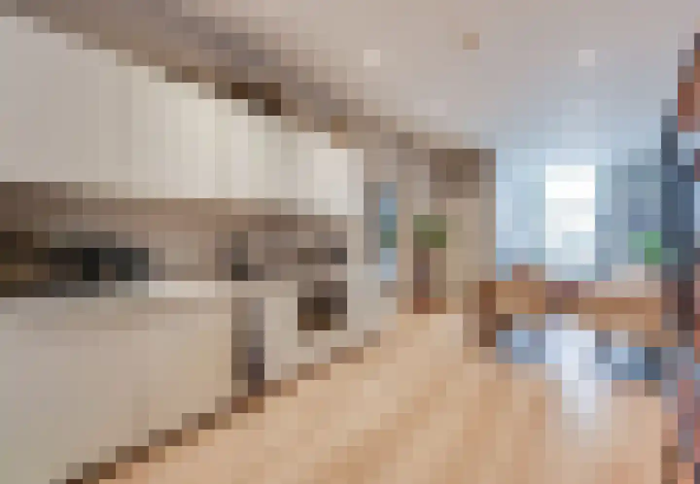 2e Dorpsstraat 48 B Zeist thumbnail 9