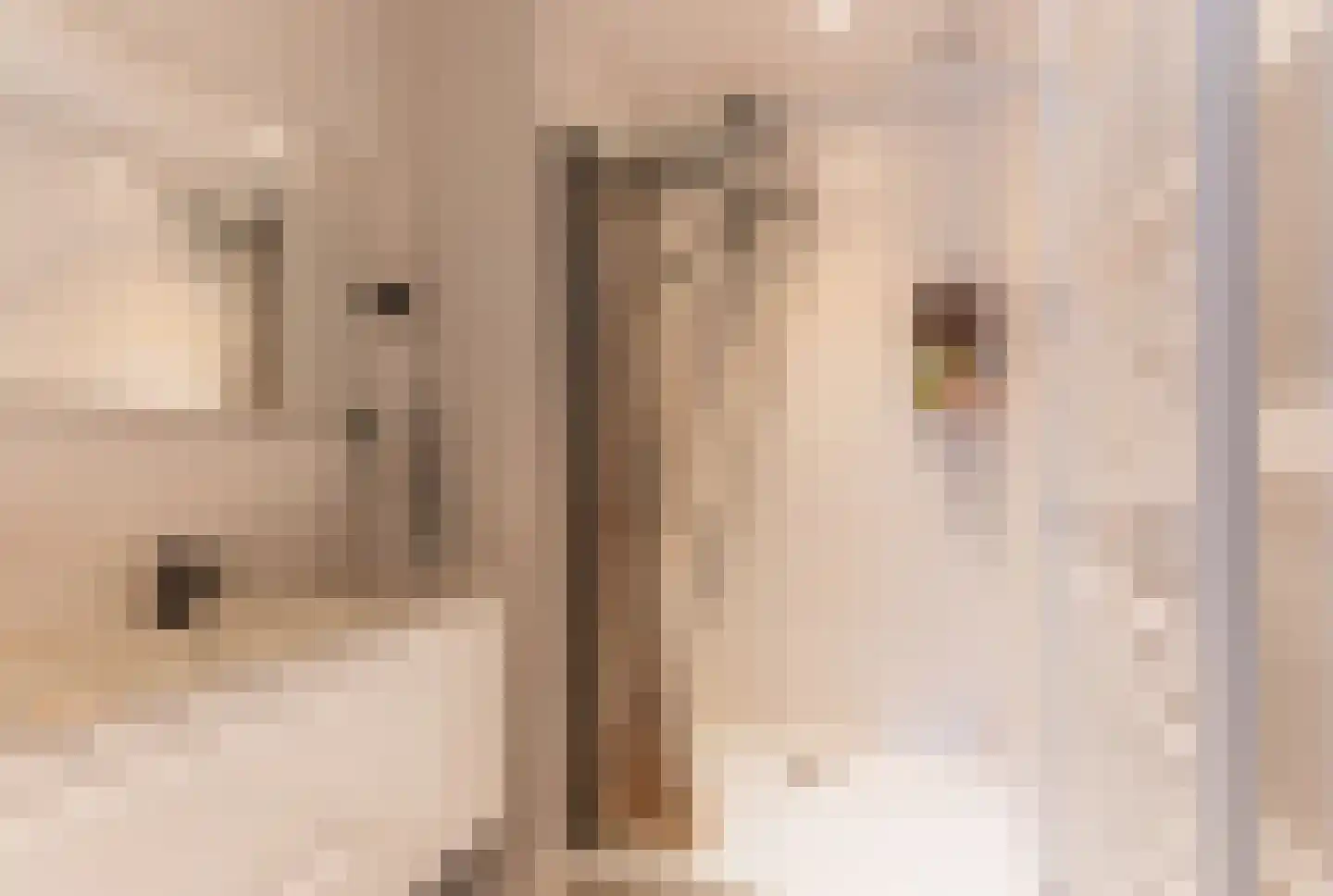 2e Dorpsstraat 48 Zeist thumbnail 9
