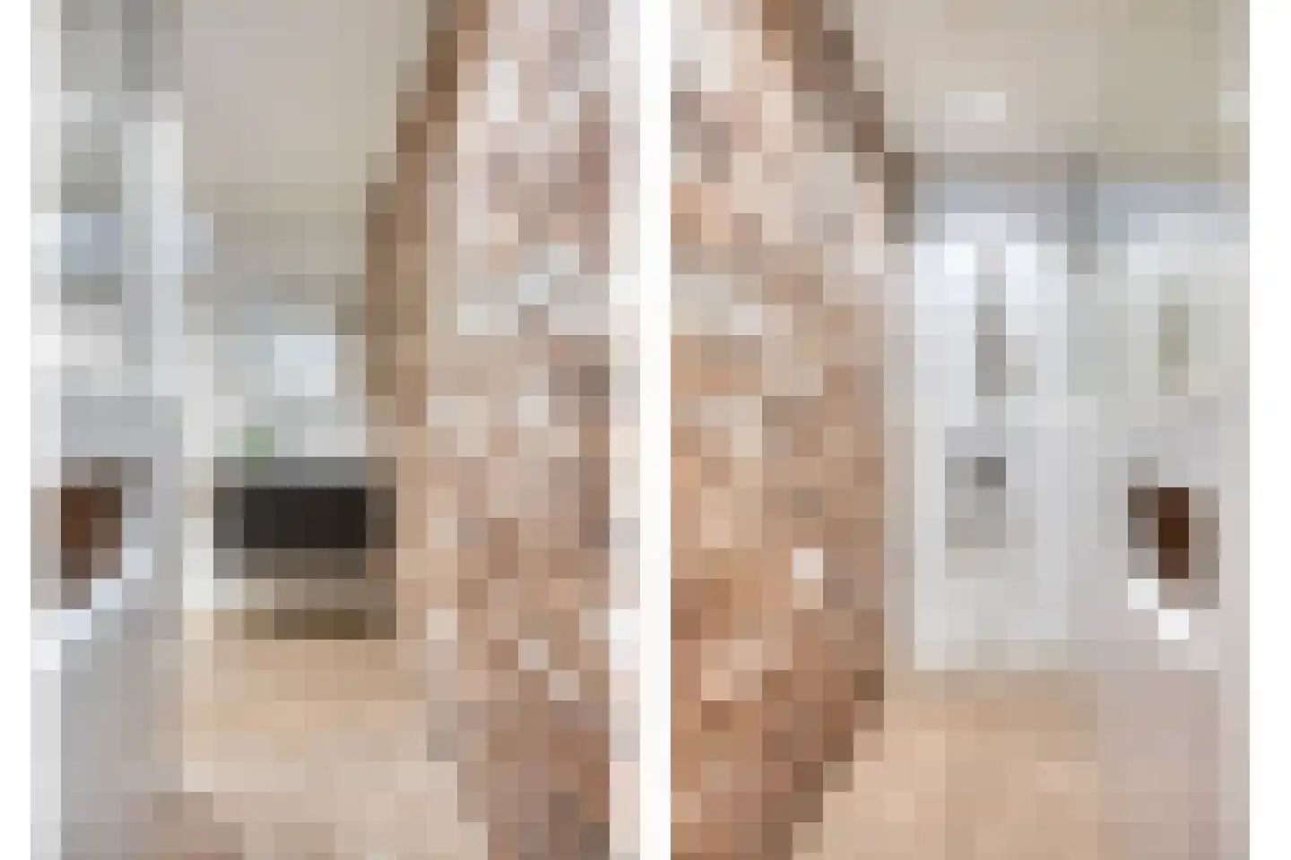 2e Dorpsstraat 63 Zeist thumbnail 16