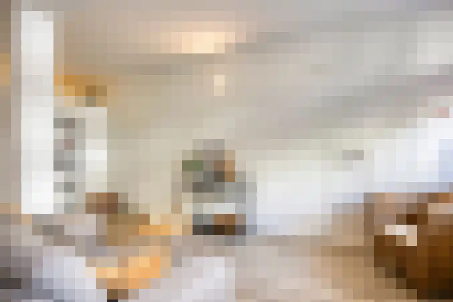 2e Dorpsstraat 63 Zeist thumbnail 6
