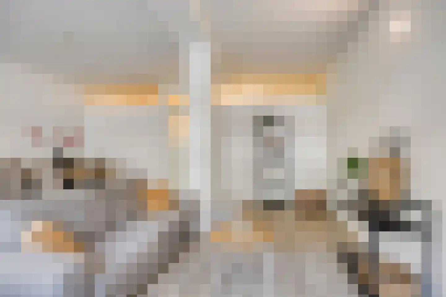 2e Dorpsstraat 63 Zeist thumbnail 8