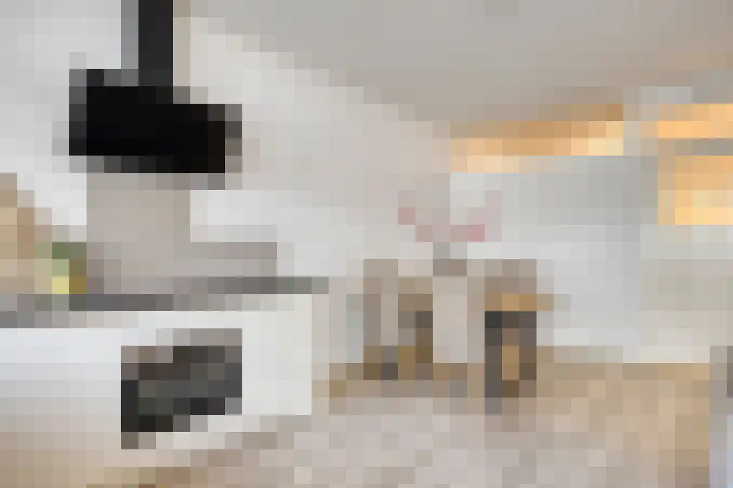 2e Dorpsstraat 63 Zeist thumbnail 9