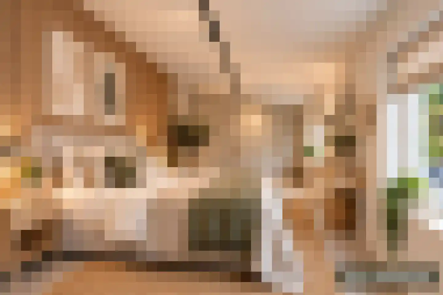 2e Dwarsstraat 4 Bedum thumbnail 7