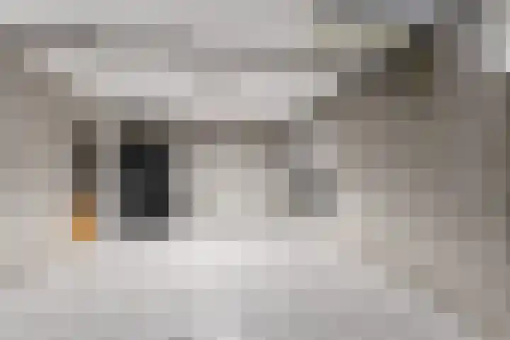 2e Dwarsweg 20 a Gennep thumbnail 22