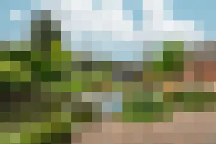 2e Dwarsweg 20 a Gennep thumbnail 27