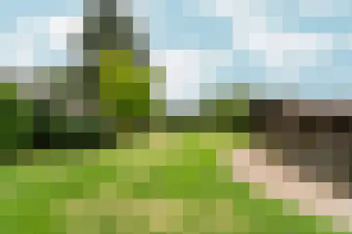 2e Dwarsweg 20 a Gennep thumbnail 30