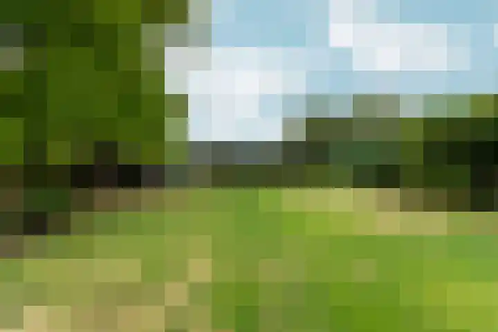 2e Dwarsweg 20 a Gennep thumbnail 35