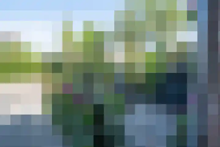 2e Dwarsweg 63 Gennep thumbnail 17