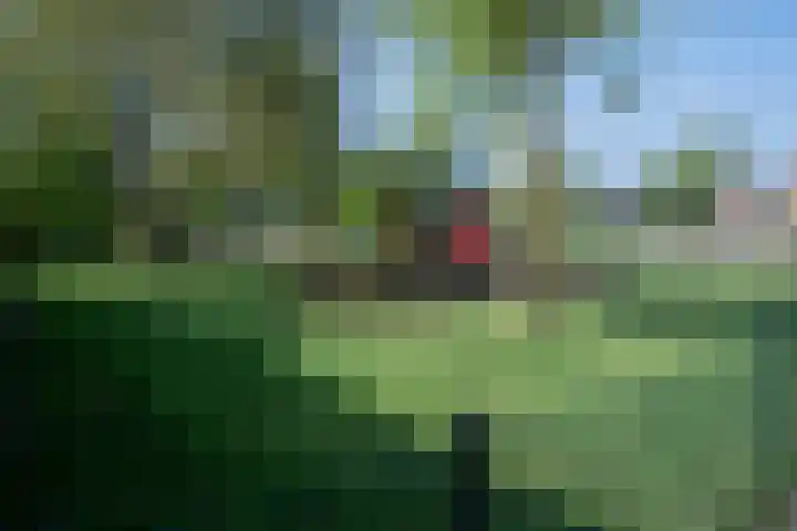 2e Dwarsweg 63 Gennep thumbnail 21