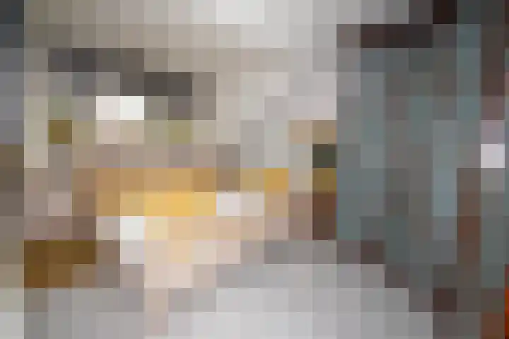 2e Dwarsweg 63 Gennep thumbnail 7