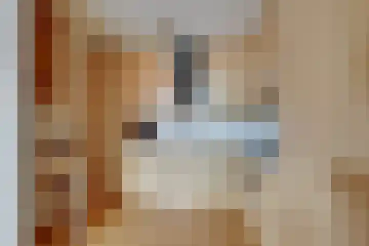 2e Ebbingestraat 1 A 04 Kampen thumbnail 32