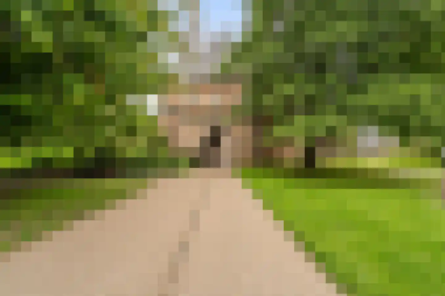 2e Ebbingestraat 1 A 06 Kampen thumbnail 38