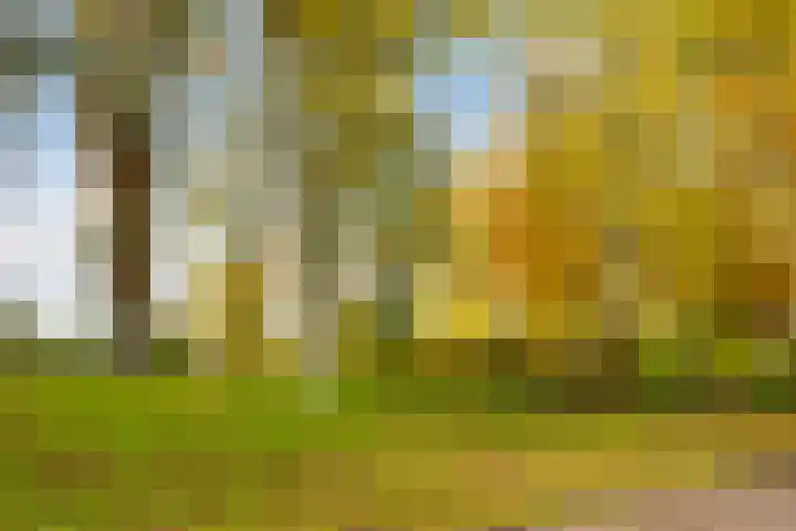 2e Ebbingestraat 16 Kampen thumbnail 32