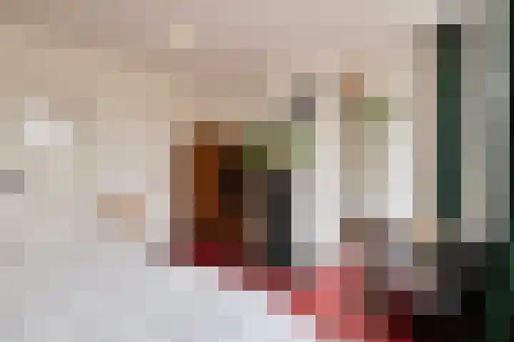 2e Ebbingestraat 31 Kampen thumbnail 32