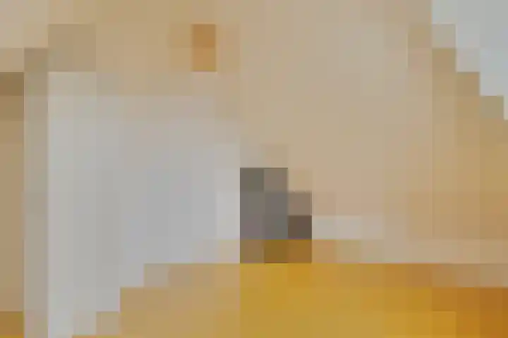 2e Ebbingestraat 31 Kampen thumbnail 42