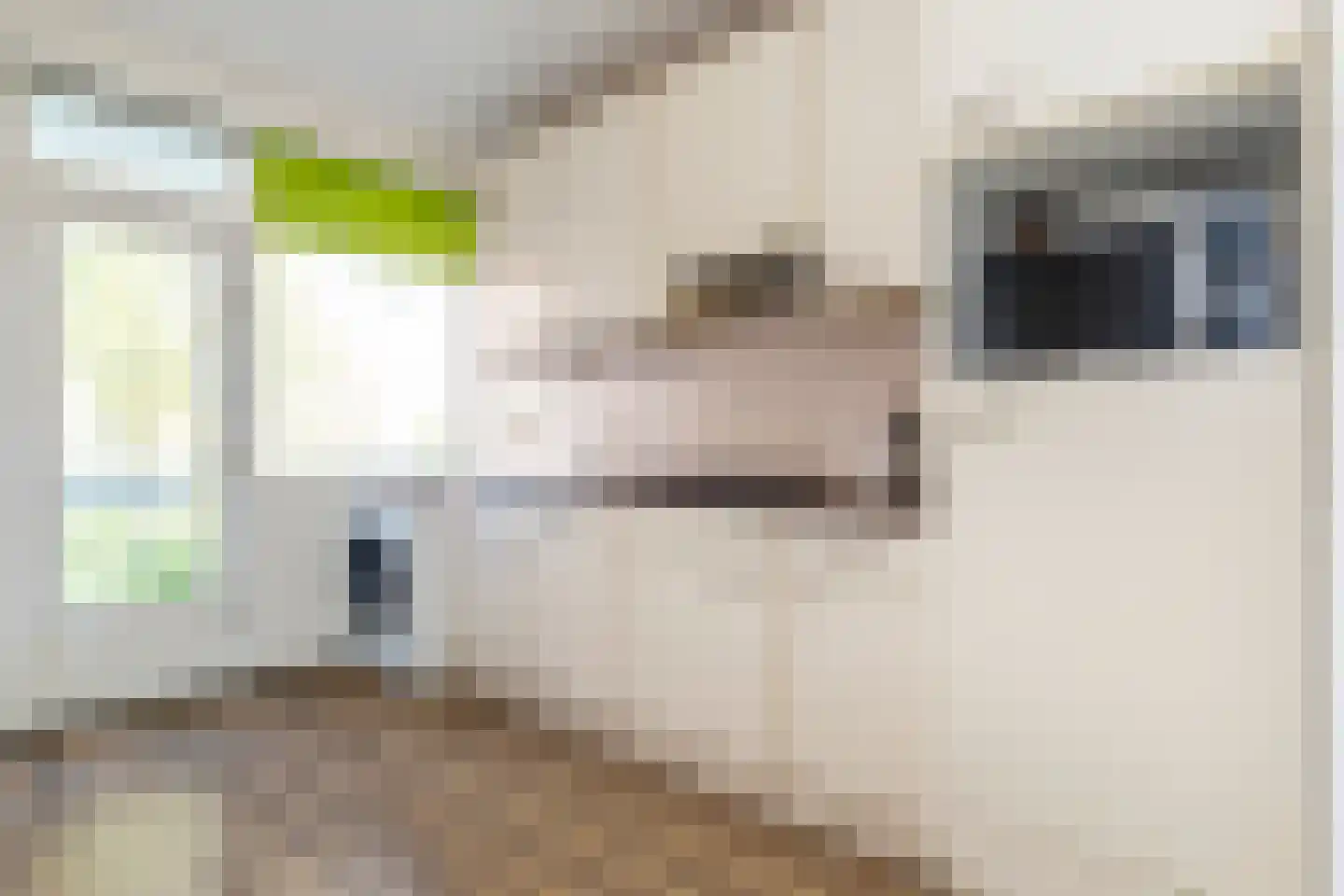 2e Eeldepad 13 Den Haag thumbnail 12