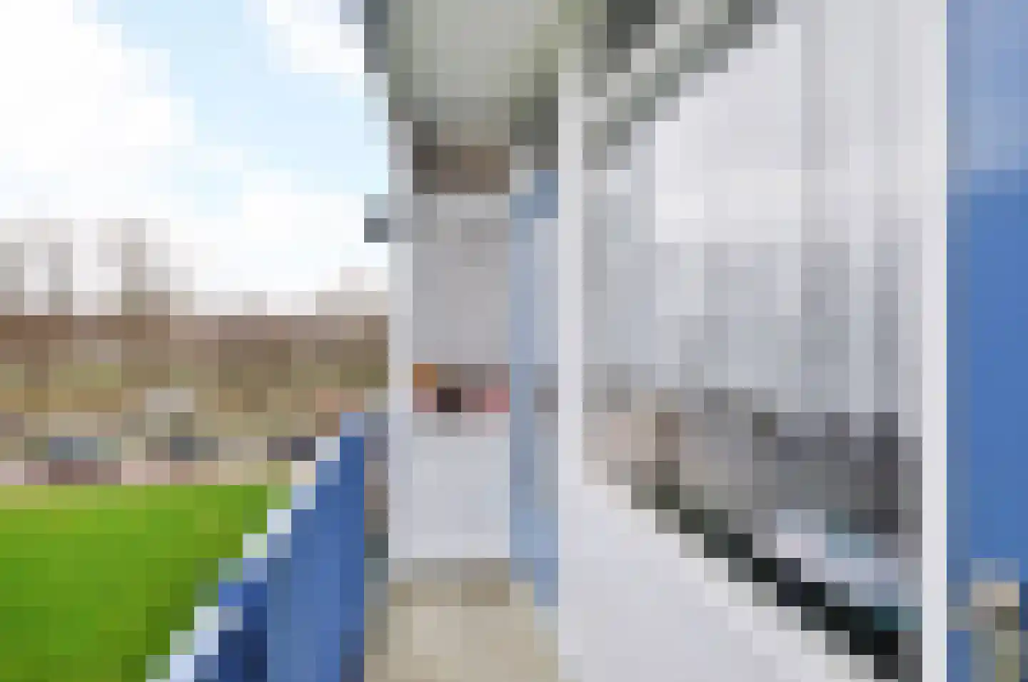 2e Eeldepad 33 Den Haag thumbnail 11