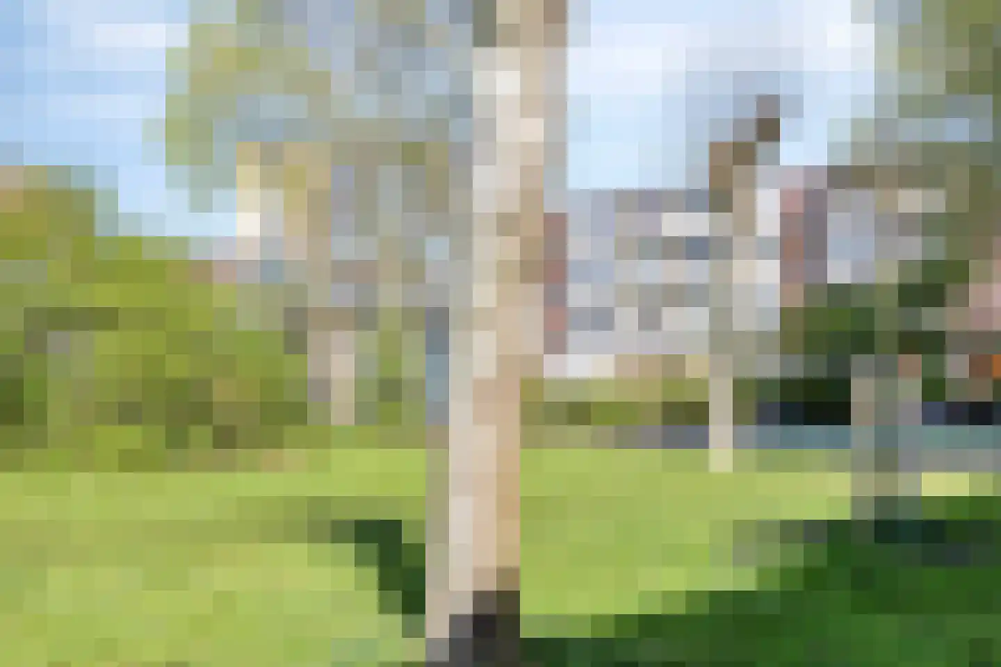 2e Eeldepad 33 Den Haag thumbnail 19