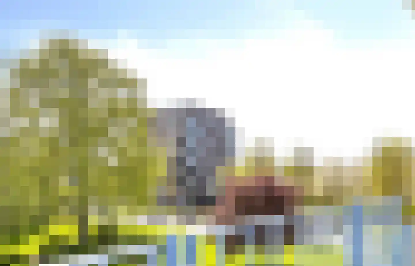 2e Eeldepad 33 Den Haag thumbnail 4