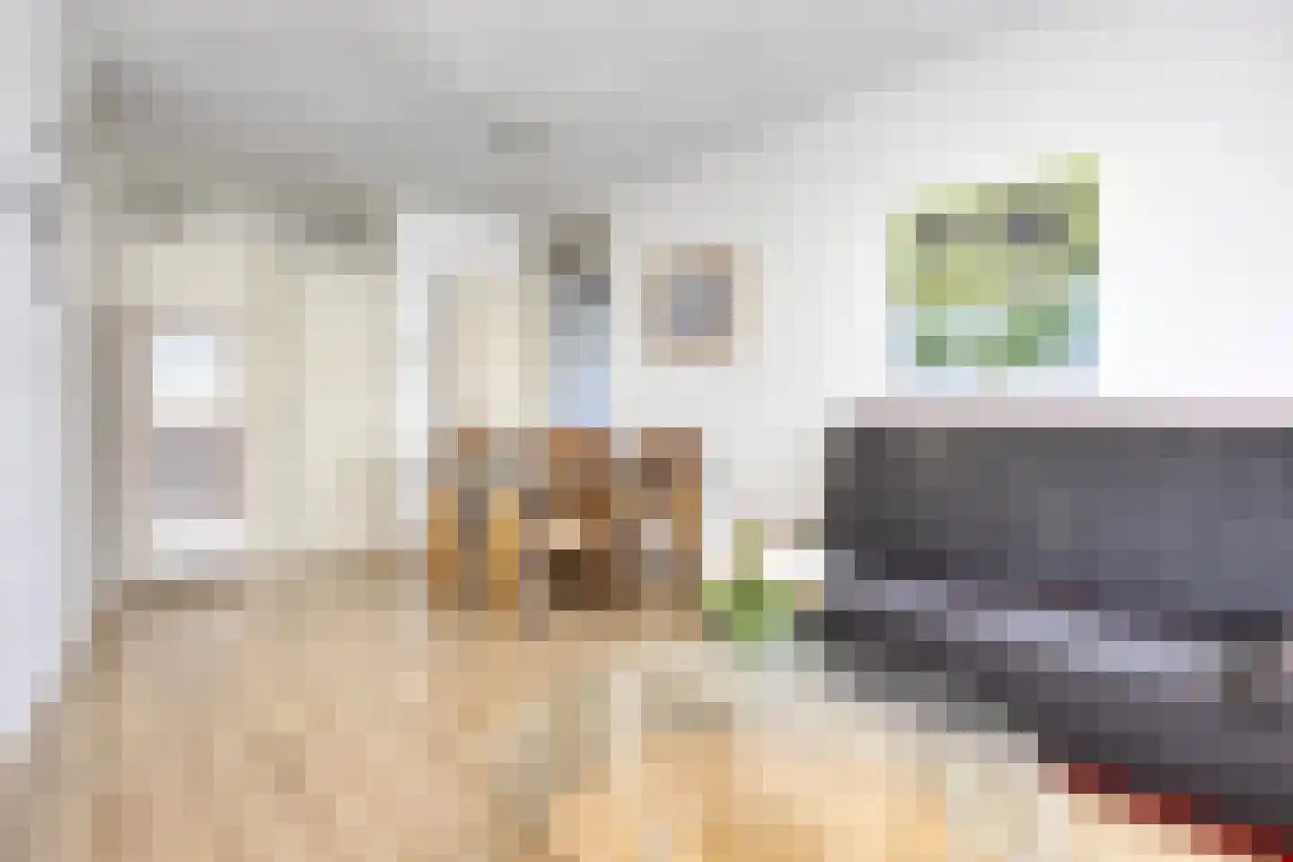 2e Eeldepad 33 Den Haag thumbnail 5