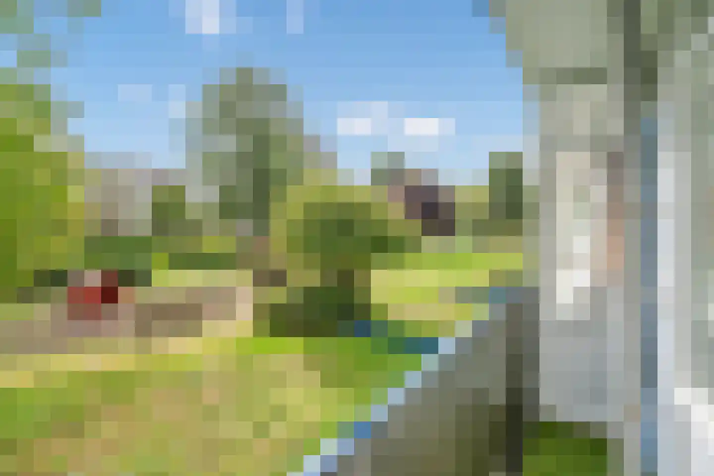 2e Eeldepad 47 Den Haag thumbnail 18